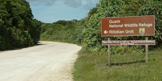 Guam Wildlife