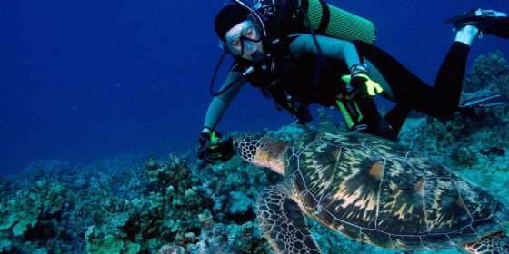 Scuba Diving in Guam
